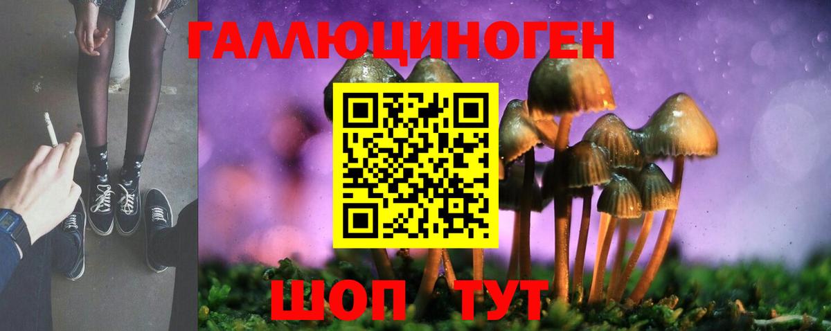Галлюциногенные грибы Psilocybine cubensis  Вход с VPN  Кимры  Псилоцибиновые грибы Magic Shrooms 